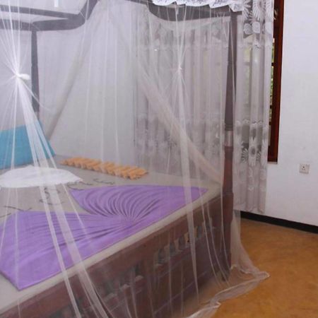 Dinu'S Resort Talaramba エクステリア 写真