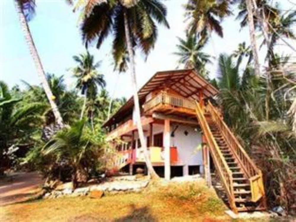 Dinu'S Resort Talaramba エクステリア 写真